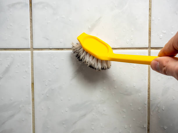 Best Mold Removal Company Near Me  in Pine Prairie, LA